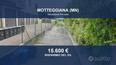 Immobile in asta di 15602 m² a Motteggiana