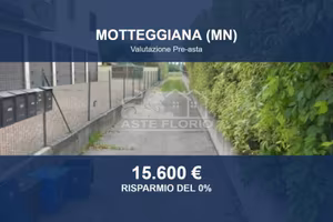 Immobile in asta di 15602 m² a Motteggiana