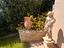 Immagine 23