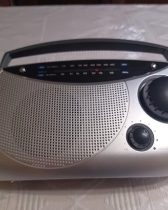 Radio Portatile Irradio RF-28 AM/FM