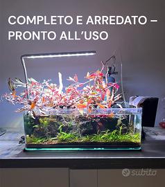 ACQUARIO