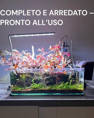 ACQUARIO