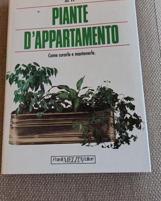 PIANTE D'APPARTAMENTO, Come curarle e mantenerle