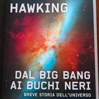 DAL BIG BANG AI BUCHI NERI S.W. HAWKING