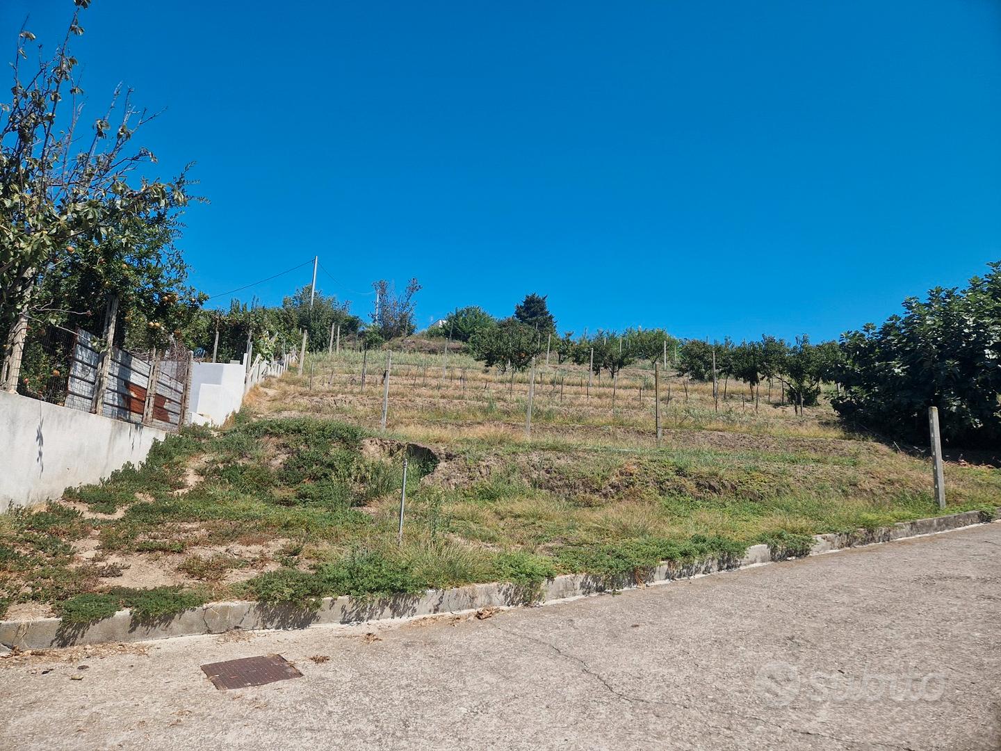 Terreno agricolo panoramico-753 mq- bacoli - Vista 3