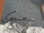 Immagine 2