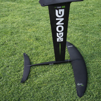 WING - FOIL V90 GONG 1200 COMPLETO