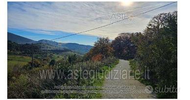 Terreno Agricolo Ancona [A4350000]