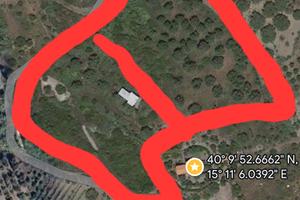 TERRENO AGRICOLO CON ULIVETO ASCEA 