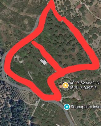 TERRENO AGRICOLO CON ULIVETO ASCEA 