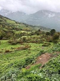 RGE 30/2014 Trib Patti - LOTTO 2