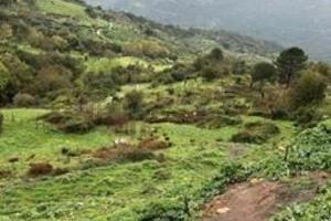 RGE 30/2014 Trib Patti - LOTTO 2