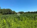 ter-agricolo-a-seregno