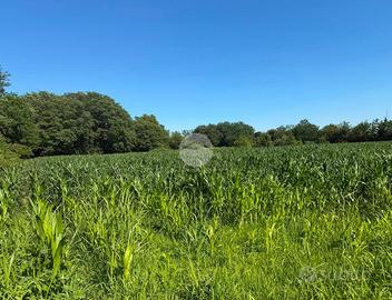TER. AGRICOLO A SEREGNO