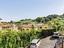 Immagine 24