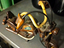 Immagine 1
