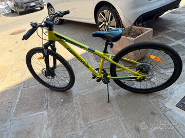Cannondale 24