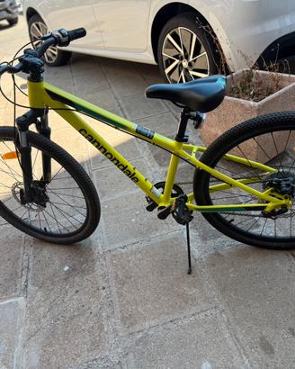 Cannondale 24