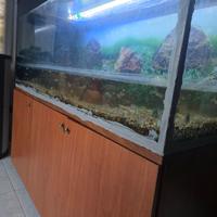 acquario da aggiustare, chi fosse interessato 400L