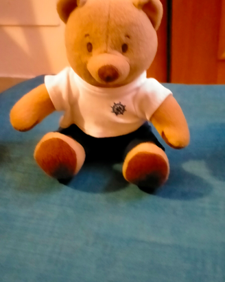 Orsetto peluche