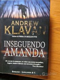 Andrew Klavan - Inseguendo Amanda
