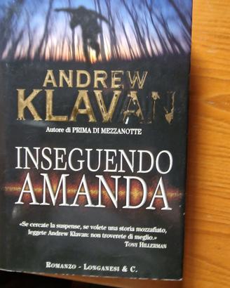 Andrew Klavan - Inseguendo Amanda