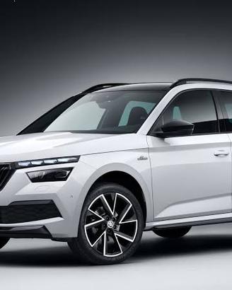 Ricambi skoda kamiq