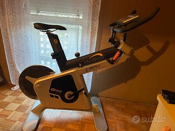 Cyclette HALLEY D BIKE 5.5