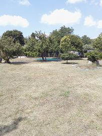 Terreno a Castiglione della Pescaia