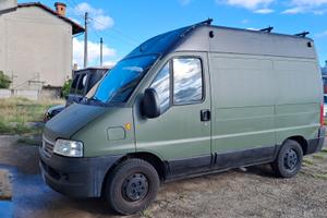 ducato 