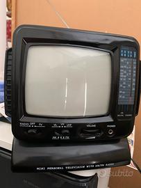 Televisione portatile e radio