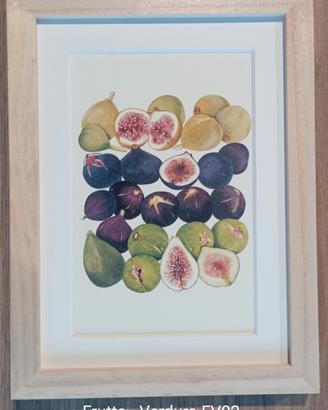 Singola Frutta o Ortaggi+pas+cornice 13x18 