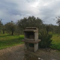 Casa L'Oliveto P7612 CIN IT091063C2000P7612