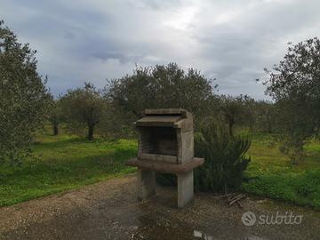 Casa L'Oliveto P7612 CIN IT091063C2000P7612