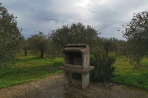 Casa L'Oliveto P7612 CIN IT091063C2000P7612