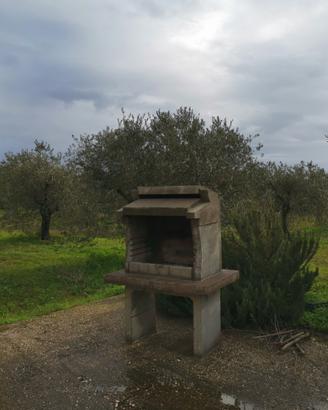 Casa L'Oliveto P7612 CIN IT091063C2000P7612