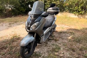 X Max 250