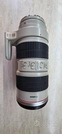 Canon EF 70-200mm f/2.8 L IS USM