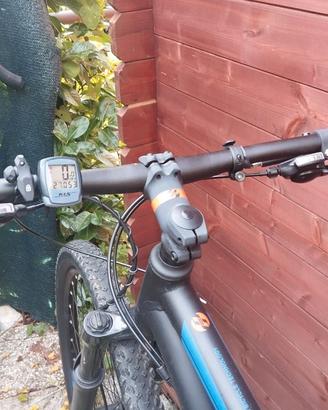 bicicletta