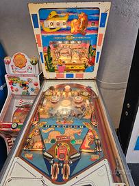 Flipper