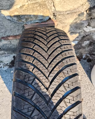 Gomme auto