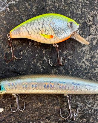 Esche pesca spinning