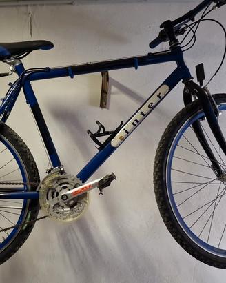 Bici Inter