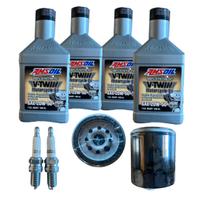 KIT TAGLIANDO HD PER SPORTSTER 84/20