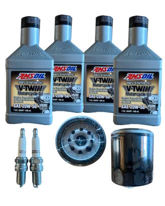 KIT TAGLIANDO HD PER SPORTSTER 84/20