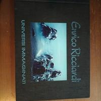 libro Enrico ricciardi 