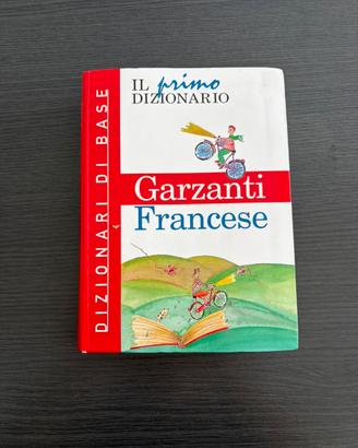 Dizionario Francese