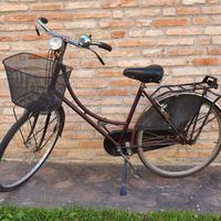 bicicletta olandese 