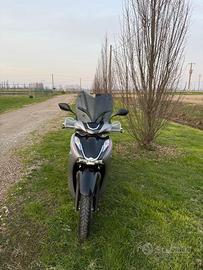 Honda Sh 350 sport 2024