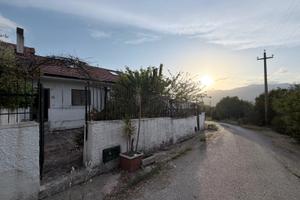 Soluzione Indipendente (Centola Foria)